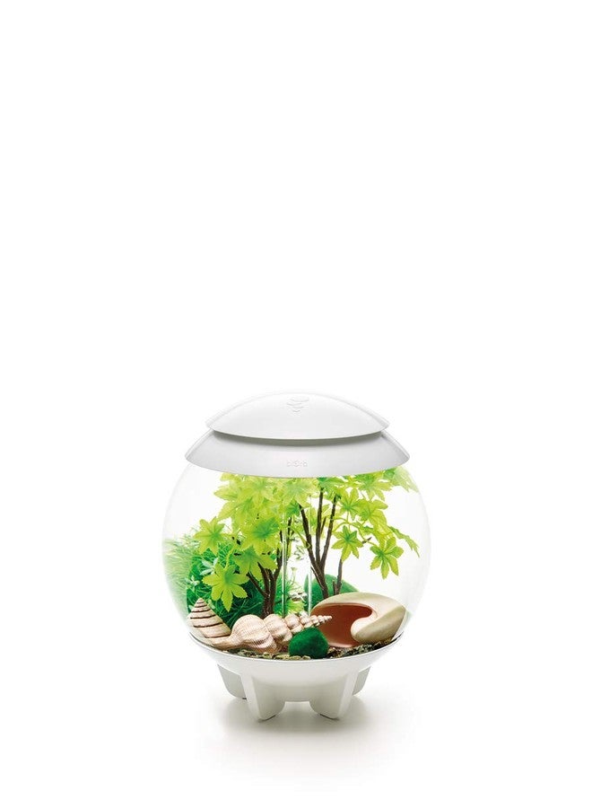 biOrb Decor Set 15L Summer, Multi, Small - Image 4